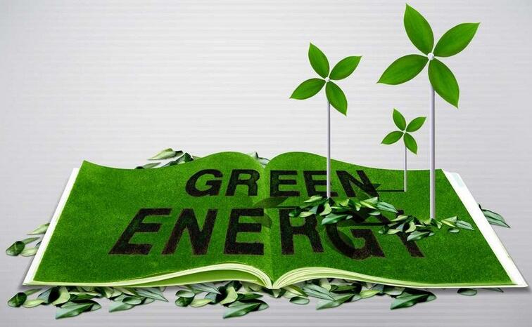 王辉耀：中国可助力推进全球绿色能源转型
